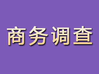 鹤岗商务调查